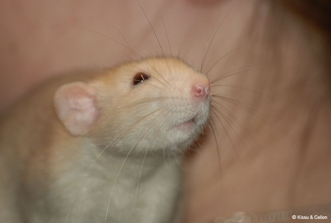 DSC_0177.jpg