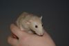 DSC_0194.jpg