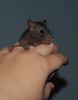 DSC_0268.jpg