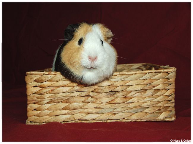 DSC_0364.jpg