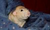 DSC_0019.jpg