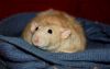 DSC_0049.jpg