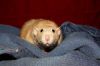 DSC_0055.jpg