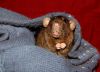 DSC_0179.jpg