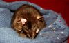 DSC_0188.jpg