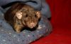 DSC_0255.jpg