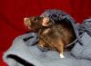 DSC_0372.jpg