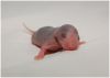 DSC_0238.jpg