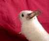 DSC_0015.jpg