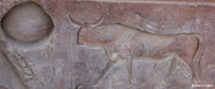 HÃ¤rg. Punane HÃ¤rg. (vt. inglise keelset) / Bull. Red Bull.
HÃ¤rg seinal.

Bull on wall.
