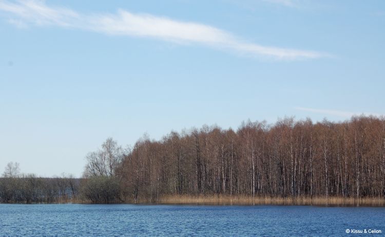 DSC_0004~11.jpg