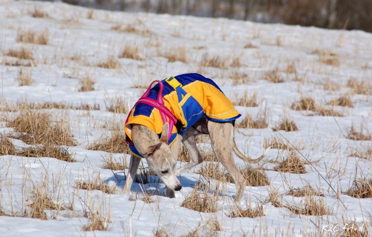 DSC_0056~13.jpg