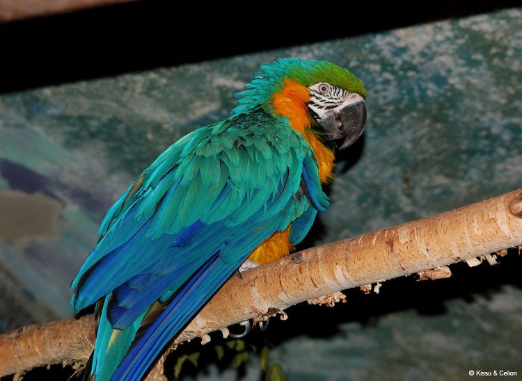 DSC_0073~1.jpg