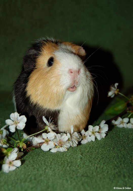 DSC_0100.jpg