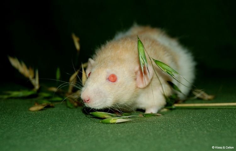 DSC_0137~1.jpg