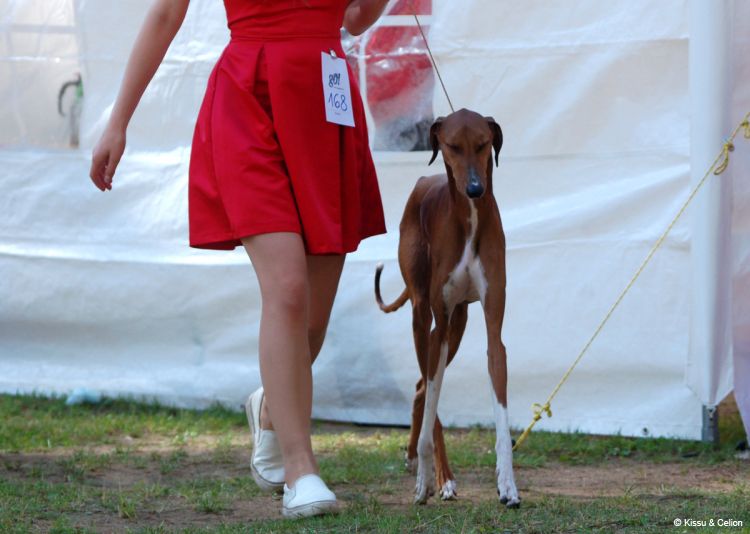 DSC_0165~8.jpg
