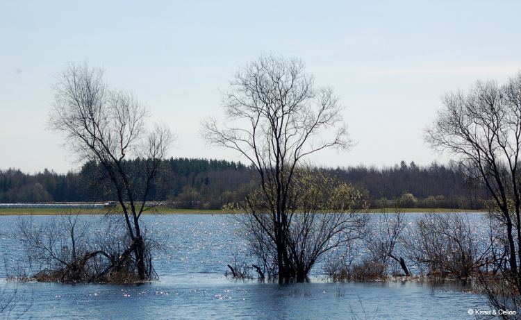 DSC_0188~3.jpg