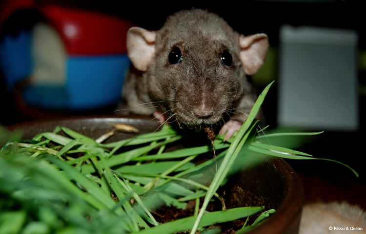 DSC_0203~1.jpg