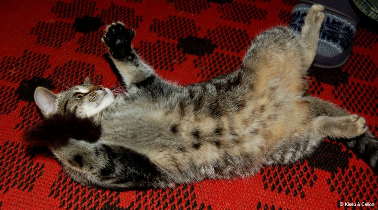 DSC_0292.jpg