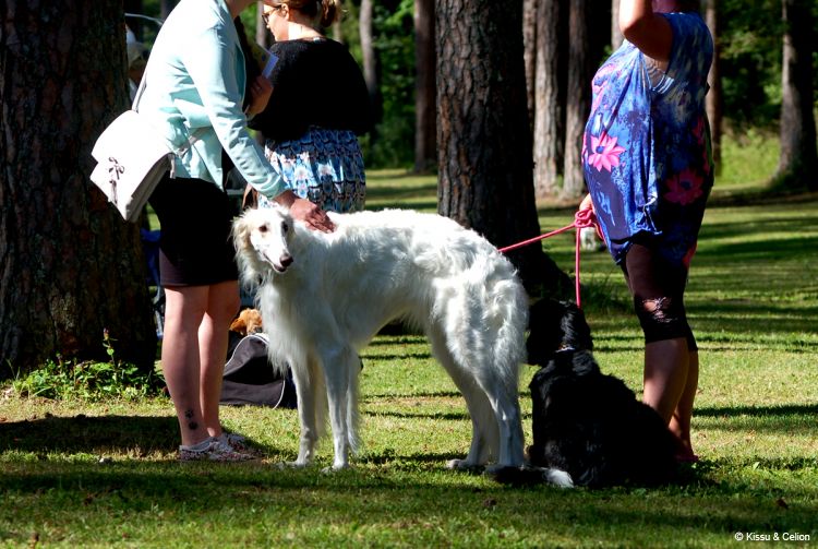 DSC_0299~4.jpg