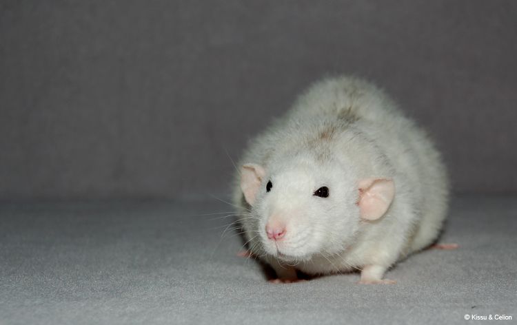 DSC_0343~1.jpg