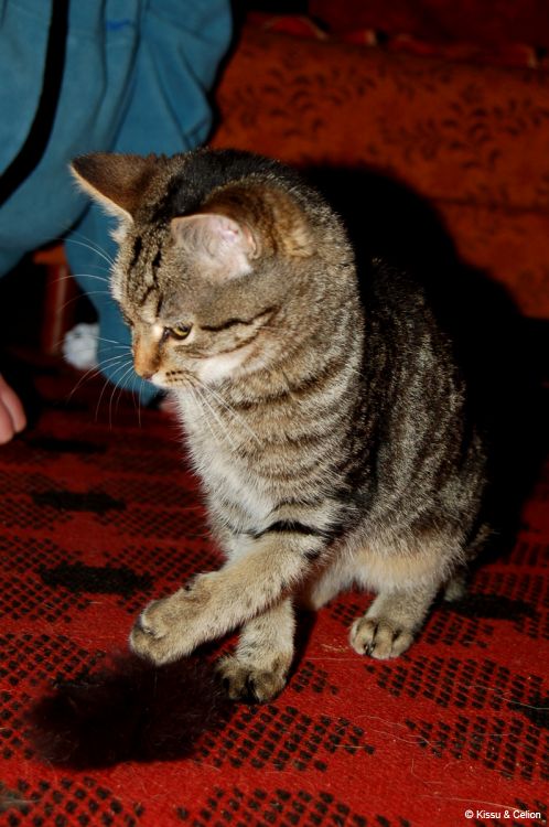 DSC_0346.jpg