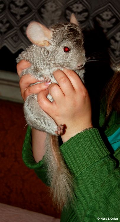 DSC_0387~1.jpg