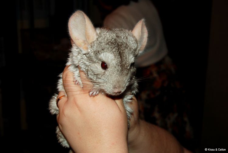 DSC_0413~1.jpg