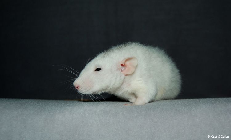 DSC_0432.jpg