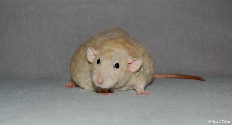 DSC_0439.jpg