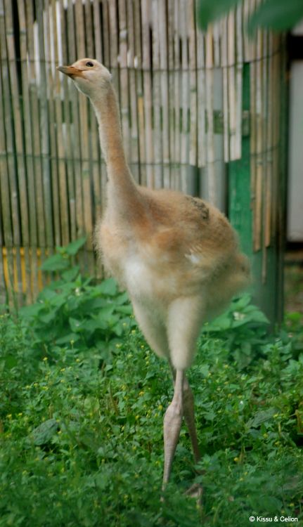DSC_0473.jpg