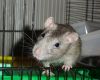 DSC01317.jpg