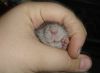 DSC02555.jpg