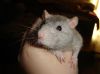 DSC02566.jpg