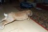 DSCF2139.jpg