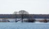 DSC_0002~7.jpg