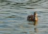 DSC_0002~9.jpg