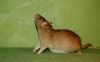 DSC_0004~15.jpg