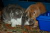 DSC_0008~11.jpg