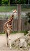 DSC_0009~7.jpg