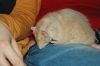 DSC_0010.JPG