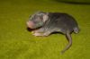 DSC_0010~20.jpg