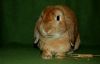 DSC_0010~5.jpg