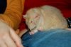 DSC_0011~7.jpg