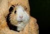 DSC_0014~4.jpg