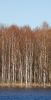 DSC_0017~8.jpg
