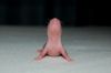 DSC_0018~8.jpg
