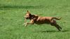 DSC_0019~2.jpg