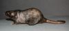 DSC_0019~4.jpg