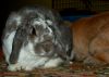 DSC_0019~8.jpg